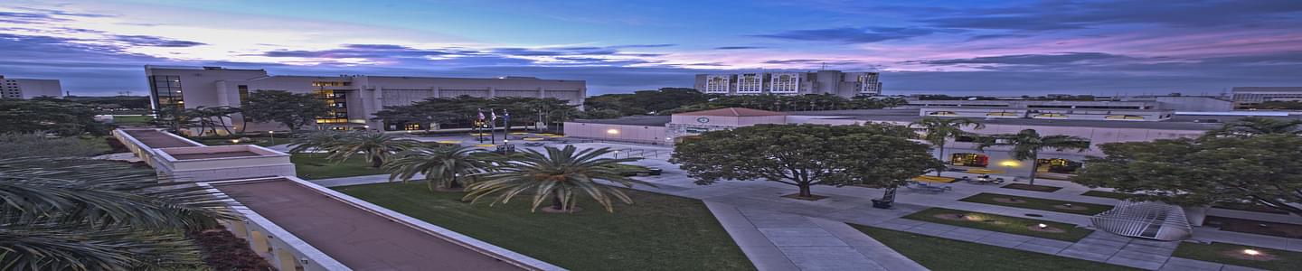 Florida International University banner